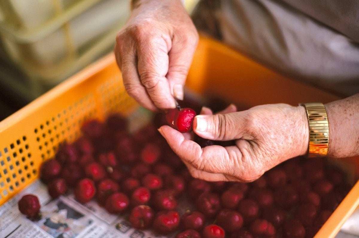 アセロラの画像