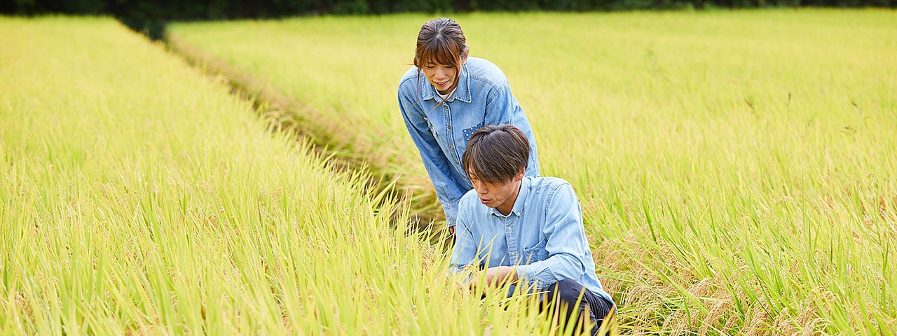 記事内画像：001 ”陽がのぼり、雨が降り、だいちがあって、いのちになる。【平農園】の自然に近い農法でつくったお米やりんごたち