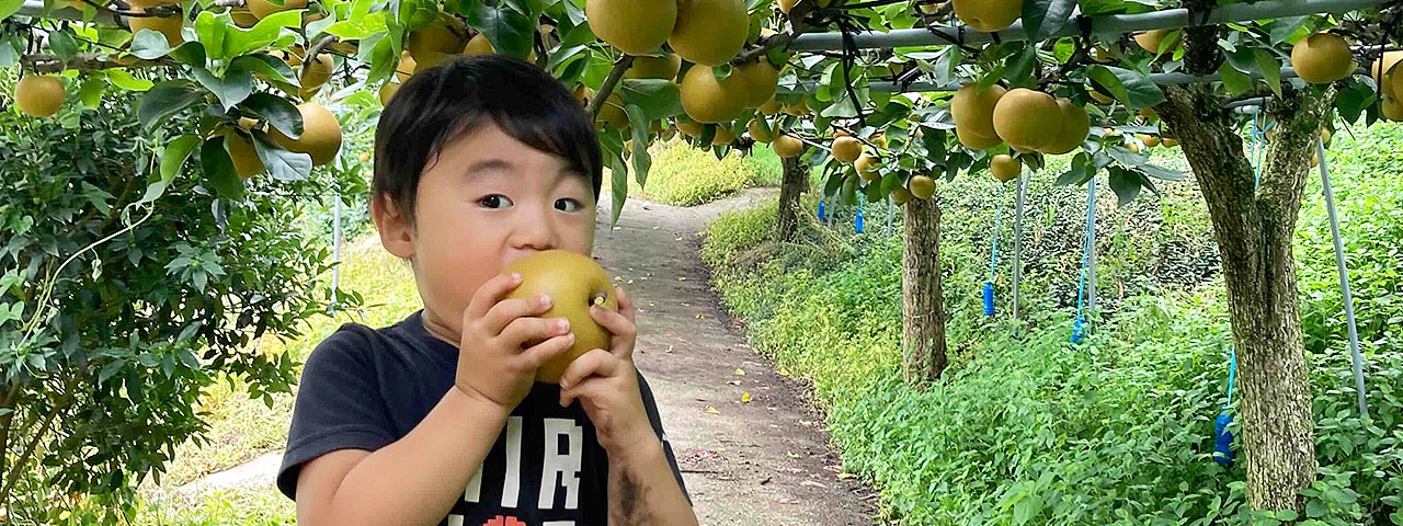 記事内画像：001 熊本県におけるナシ発祥の地から5代目夫妻がつなぐ、農園を通じて広がる未来【FRUITSGARDEN虹色】