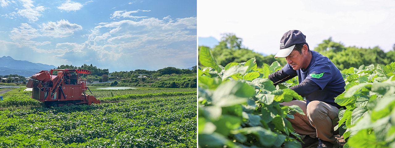 記事内画像：001 香り、甘み、旨み３拍子揃った【タムラファーム】の朝採り枝豆『味緑(みりょく)』の魅力