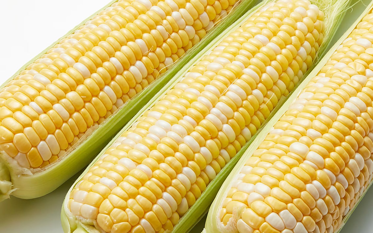 夏の味覚