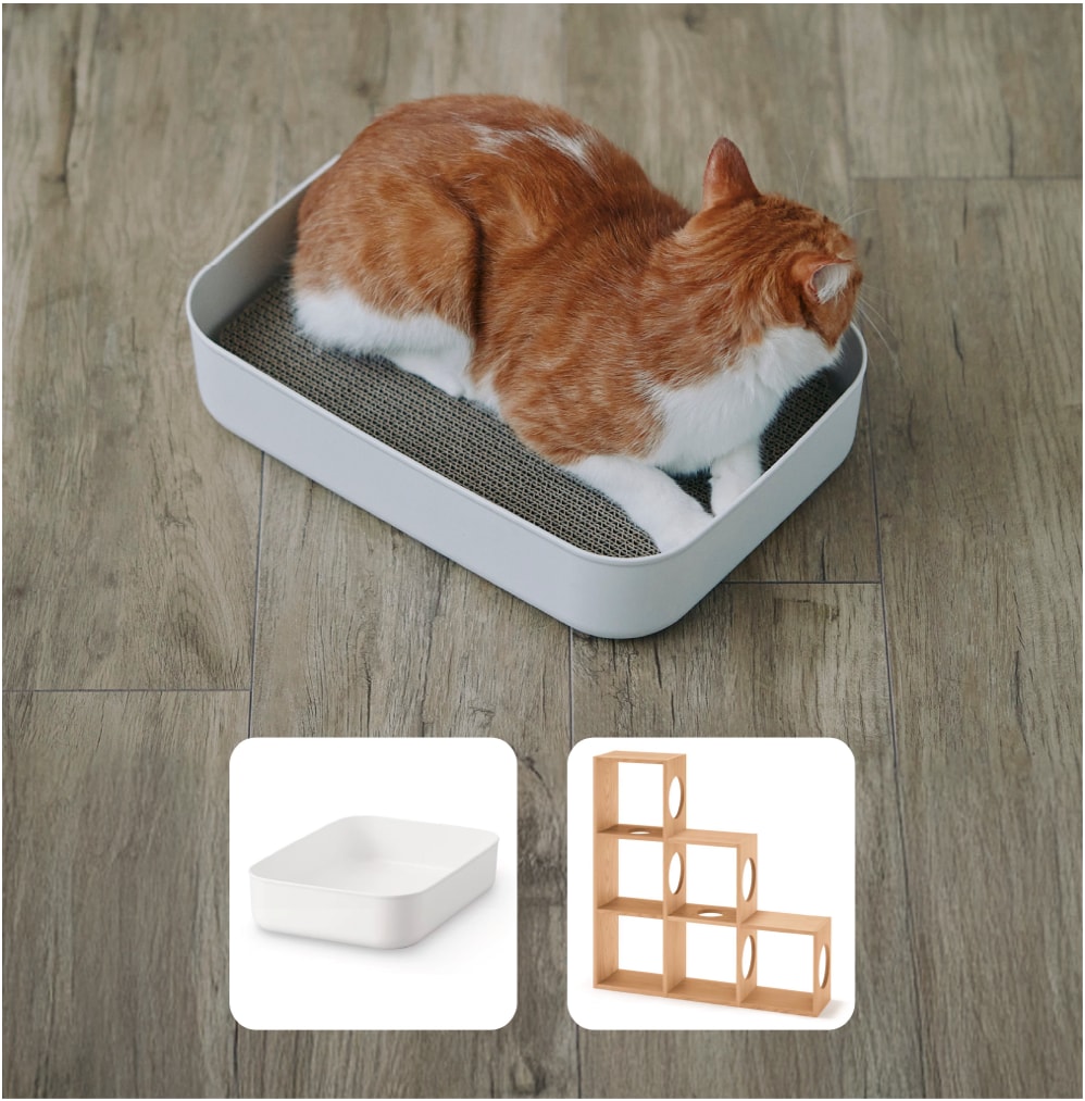 適度な堅さとちょうどいいサイズ