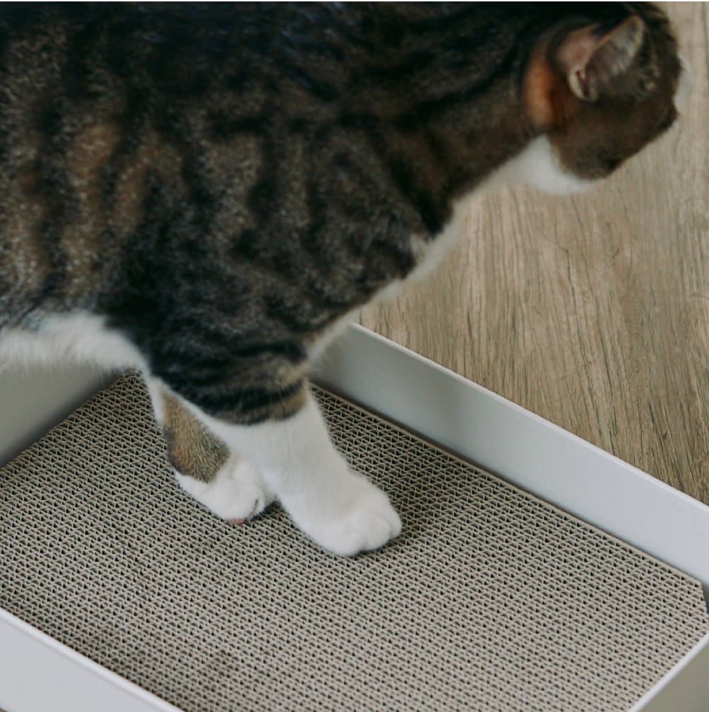 固め仕上げ2層段ボール