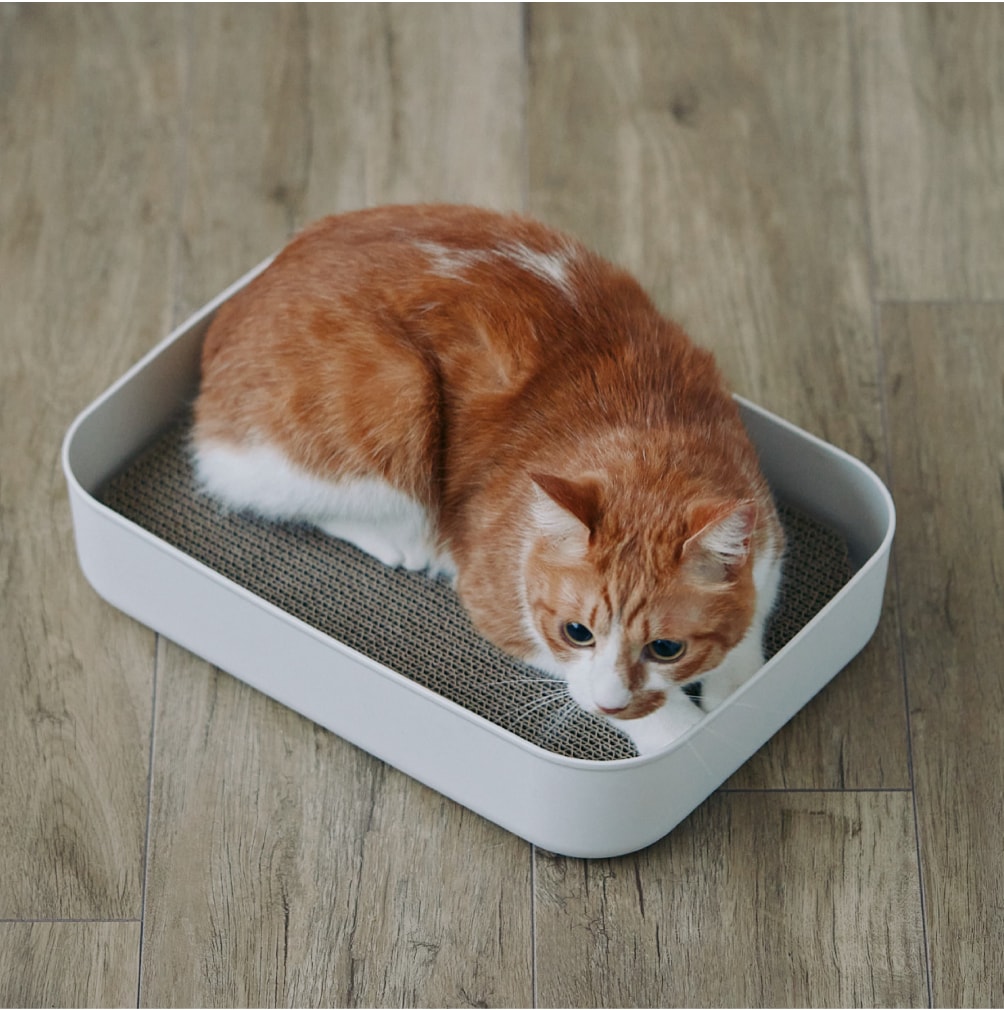 板厚3cmで「寝そべりベッド」にも