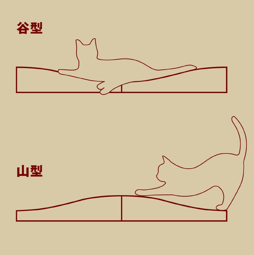 「山型」と「谷型」を組み替えて使える設計 2枚の段ボール板を組み替えるだけで、「山型」と「谷型」の形状に切り替え可能。活動的なときは山型でしっかり研ぎ、リラックスタイムには谷型でくつろげるベッドに。シーンに合わせて使い分けられます。