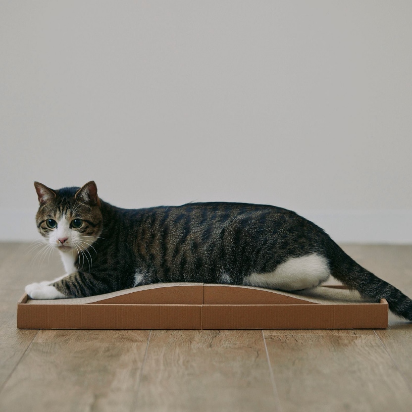 ベッド長さ60cmで全身ゆったり 成猫が丸くなってもゆったりくつろげるワイドサイズ。爪とぎのあと、そのまま眠れる「ごろ寝スポット」としても使える一台二役の設計です。