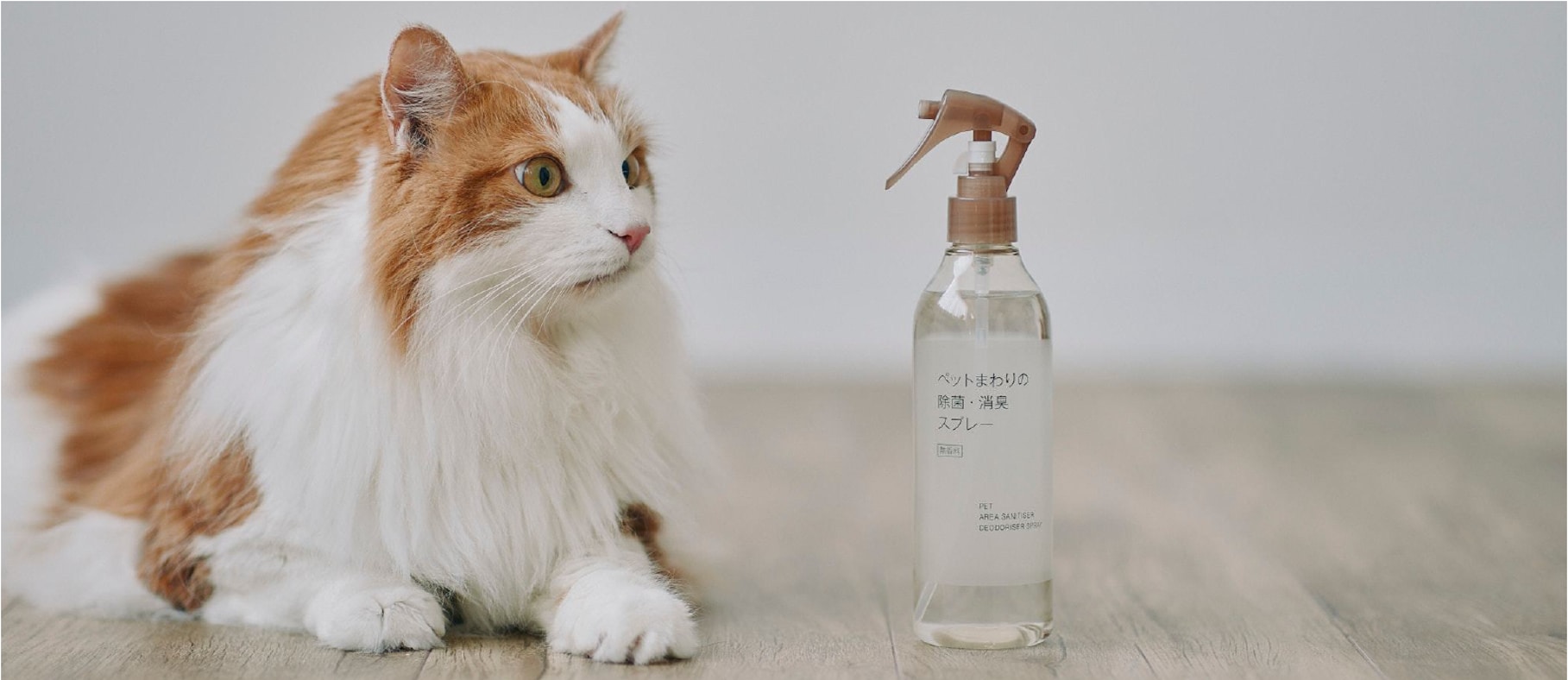 Comfor Pet 除菌・消臭スプレー 300ml + 8パック Comfor Pet 除菌・消臭スプレー 300ml + 8パック