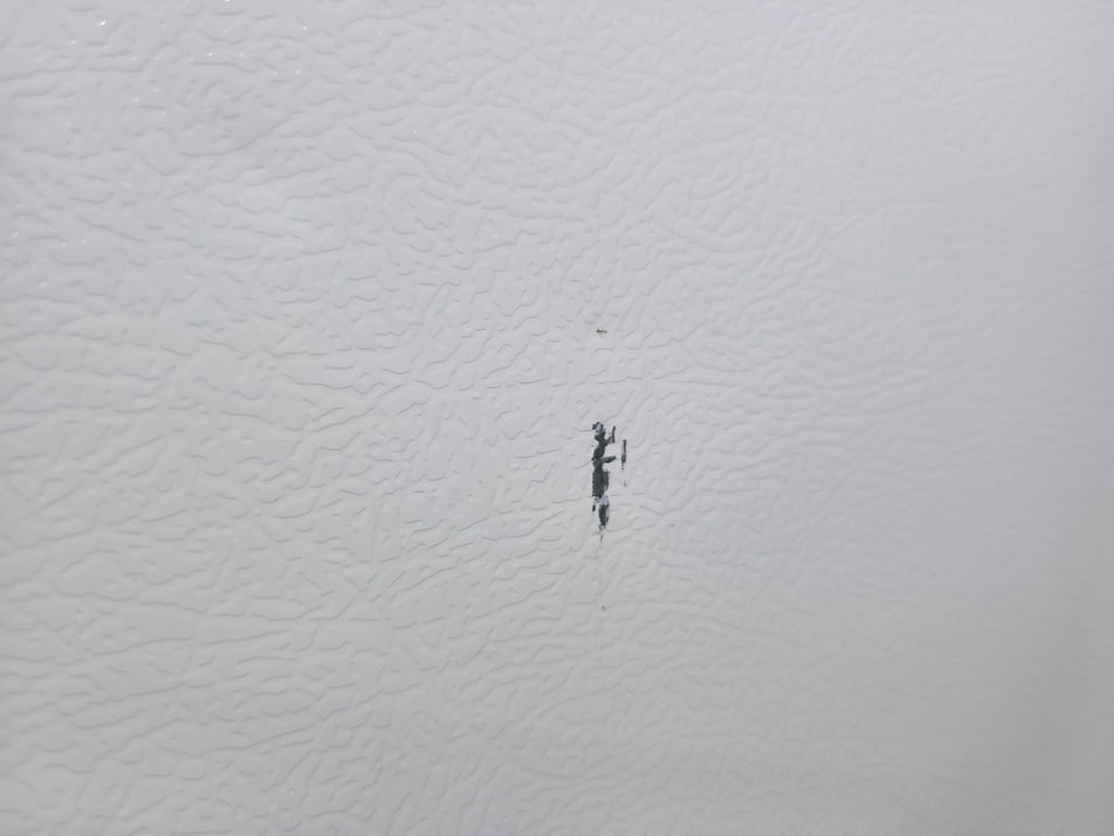 冷蔵庫正面についた2cm程のすり傷の写真