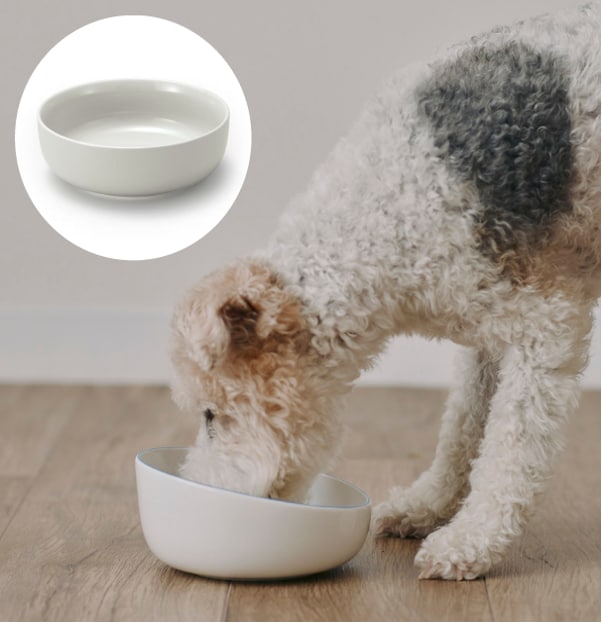 フードボウルの使用イメージ