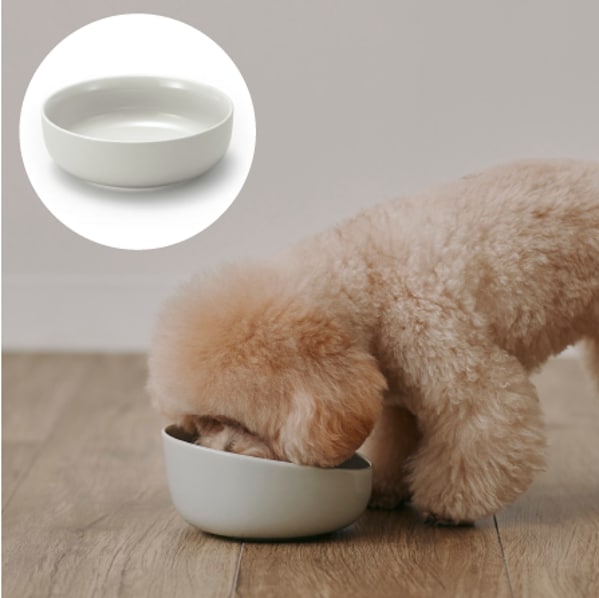 フードボウルの使用イメージ