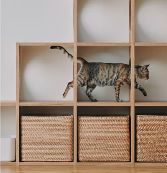 スタッキングシェルフ猫用の画像
