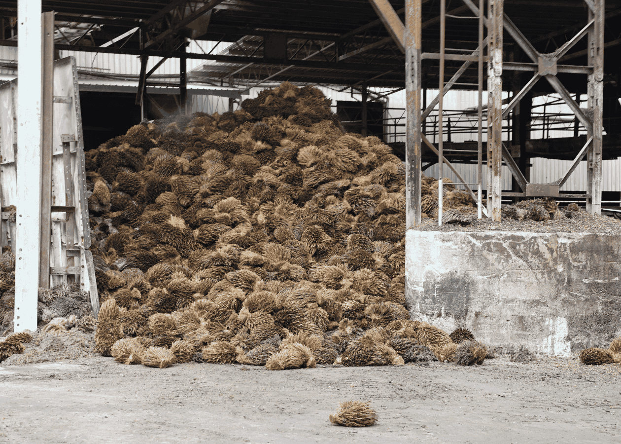 ヤシの端材を使った食器 無印 無印良品 パームヤシ 房 地球温暖化 資源循環