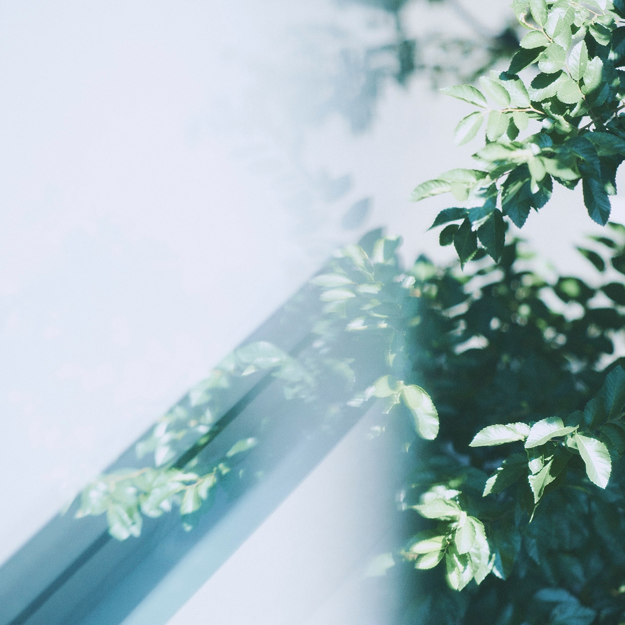 「世界を股にかけて活躍した、こんなかっこいい女性がいたことを知ってほしい」ブレイディみかこが読む、米原万里。 | MUJI BOOKS 文庫本「人と物」シリーズ_rs4W1H