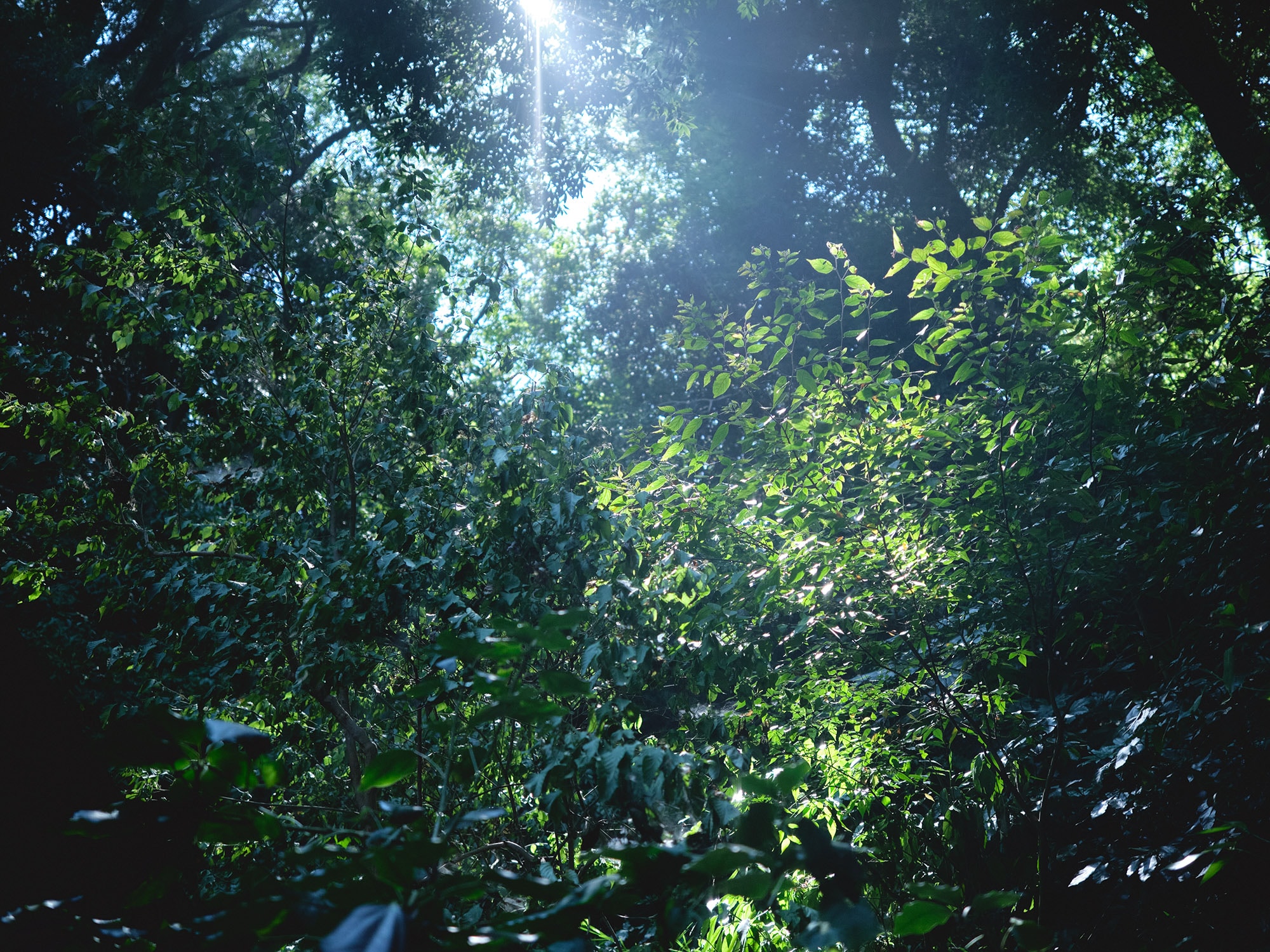 「結論やゴールから離れて、“間”や“過程”、“変化”に目を向ける」クリス智子インタビュー | まわりみち、かけあし、ひとやすみ_0zJP5a