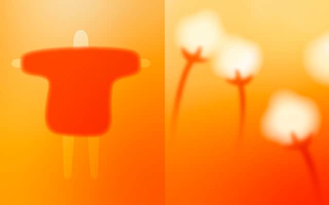 綿100% あったか綿インナー