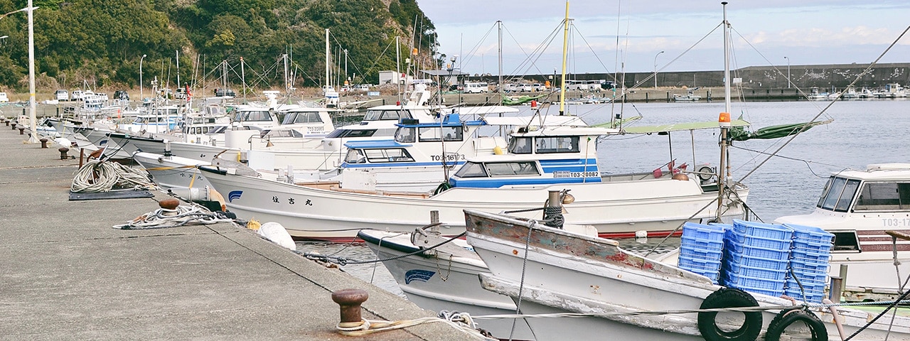 記事内画像：003 徳島阿南産の鱧を味わう、素材の味を活かしたパスタソース【タカラ食品株式会社】