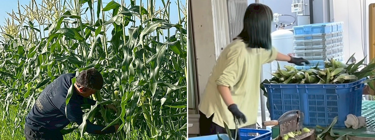 記事内画像：001 大地の恵を享受。二人三脚で歩む命を生み出す農業【ヤツシロミズタファーム】