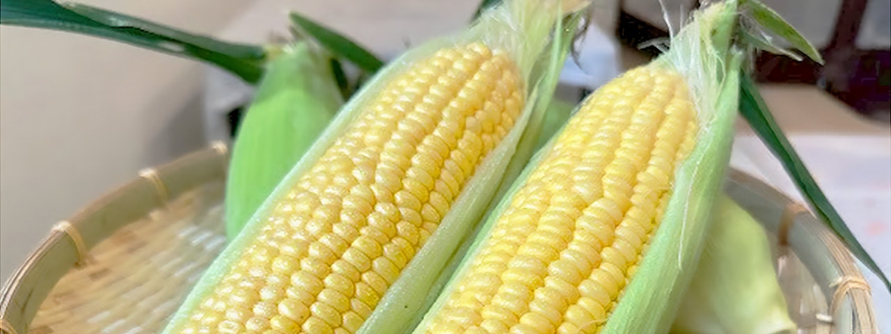 記事内画像：002 大地の恵を享受。二人三脚で歩む命を生み出す農業【ヤツシロミズタファーム】