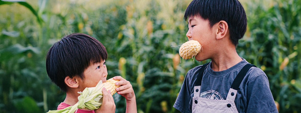 記事内画像：003 大地の恵を享受。二人三脚で歩む命を生み出す農業【ヤツシロミズタファーム】