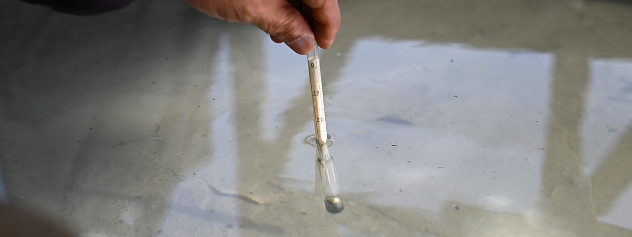 記事内画像：003 日本一美しい海のまろやかな天然塩【塩工房 中林漁業協同組合】