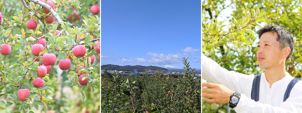 記事内画像：001 我が子のように愛情いっぱいに育てた果実を届けたい。【中川果樹園】の樹上完熟くだもの