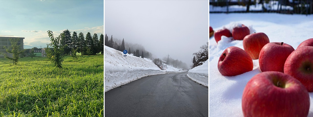 記事内画像：003 我が子のように愛情いっぱいに育てた果実を届けたい。【中川果樹園】の樹上完熟くだもの