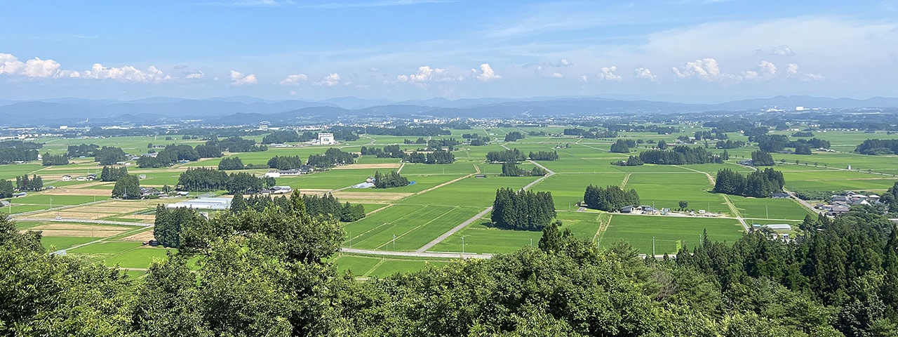 記事内画像：001 もっと多くの方に、岩手・花巻のりんごのおいしさを知ってもらいたい。【遥かなる林檎】のりんご
