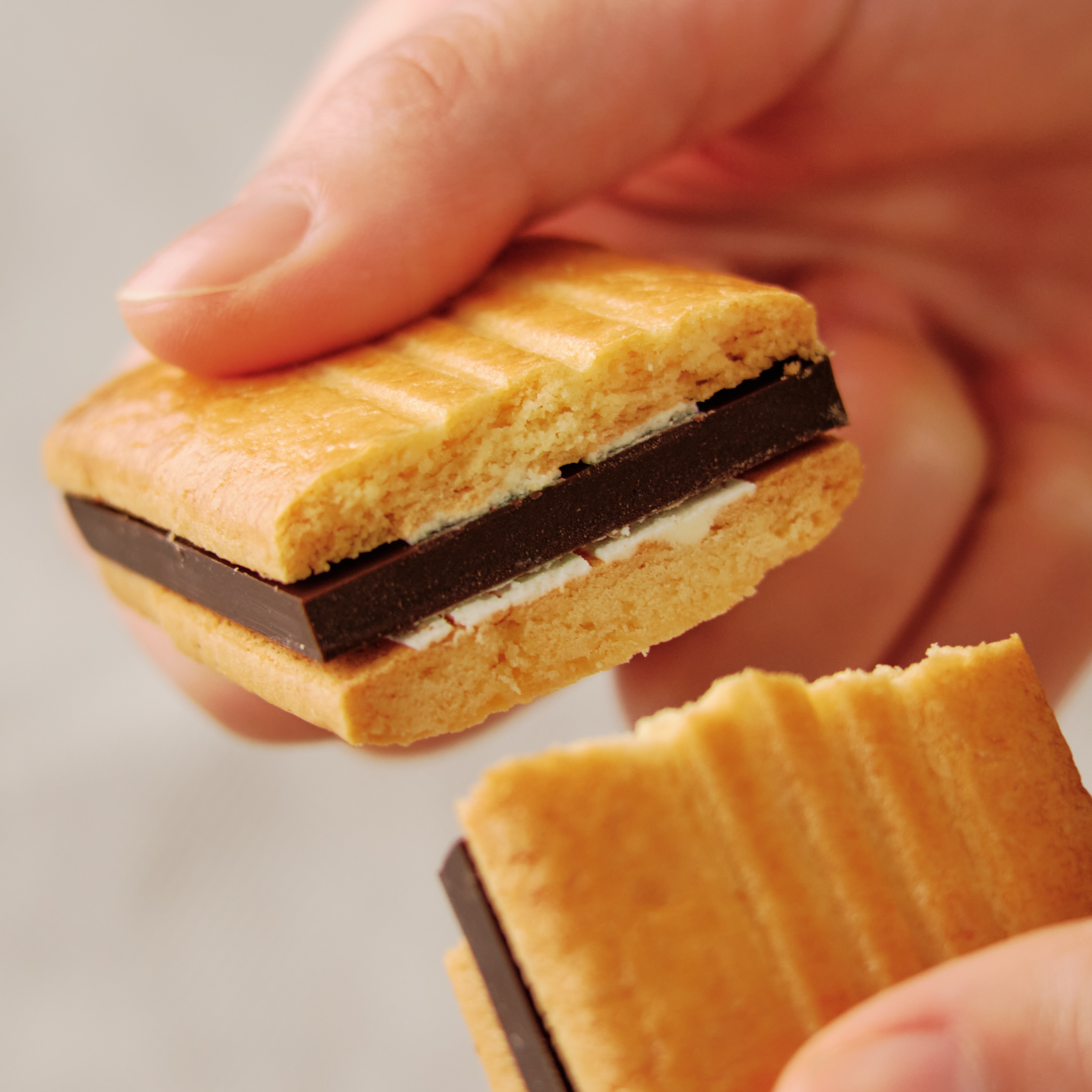 2025年11月 発売予定の食品_x3A1on