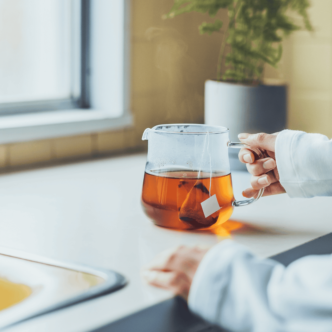 養生日和 無印良品 黒豆茶 ルイボスティ