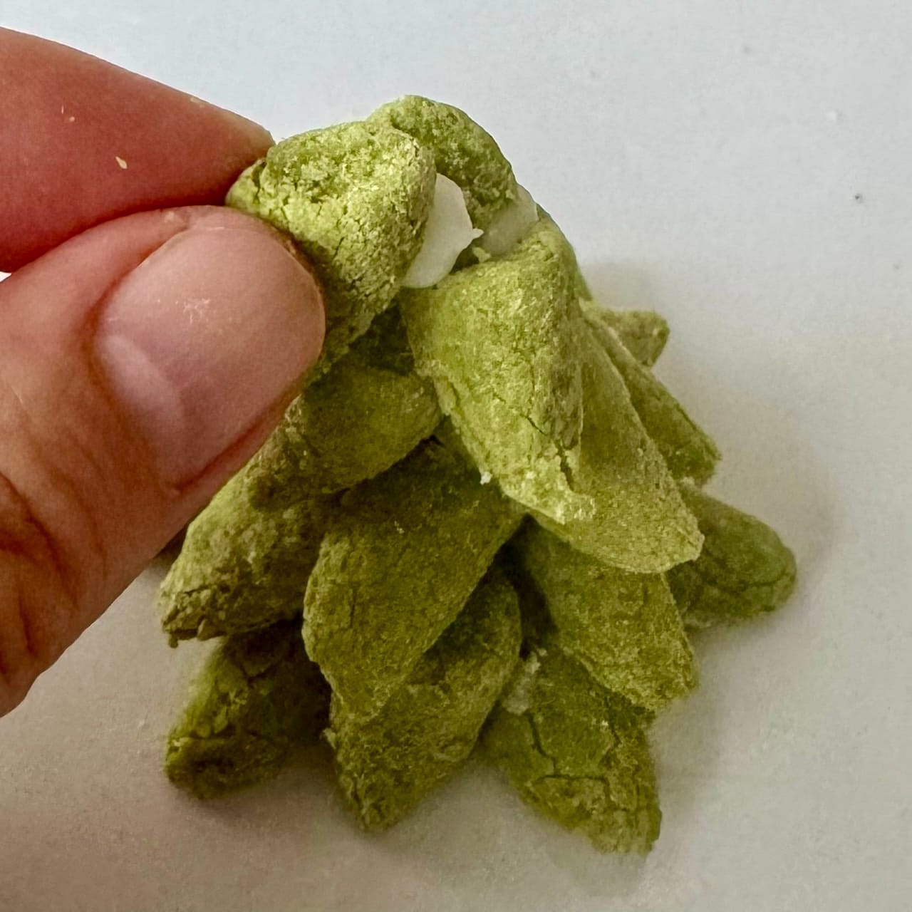 組み立ててつくる「ヘクセンハウス」のデコレーションアイデア_82kgTD