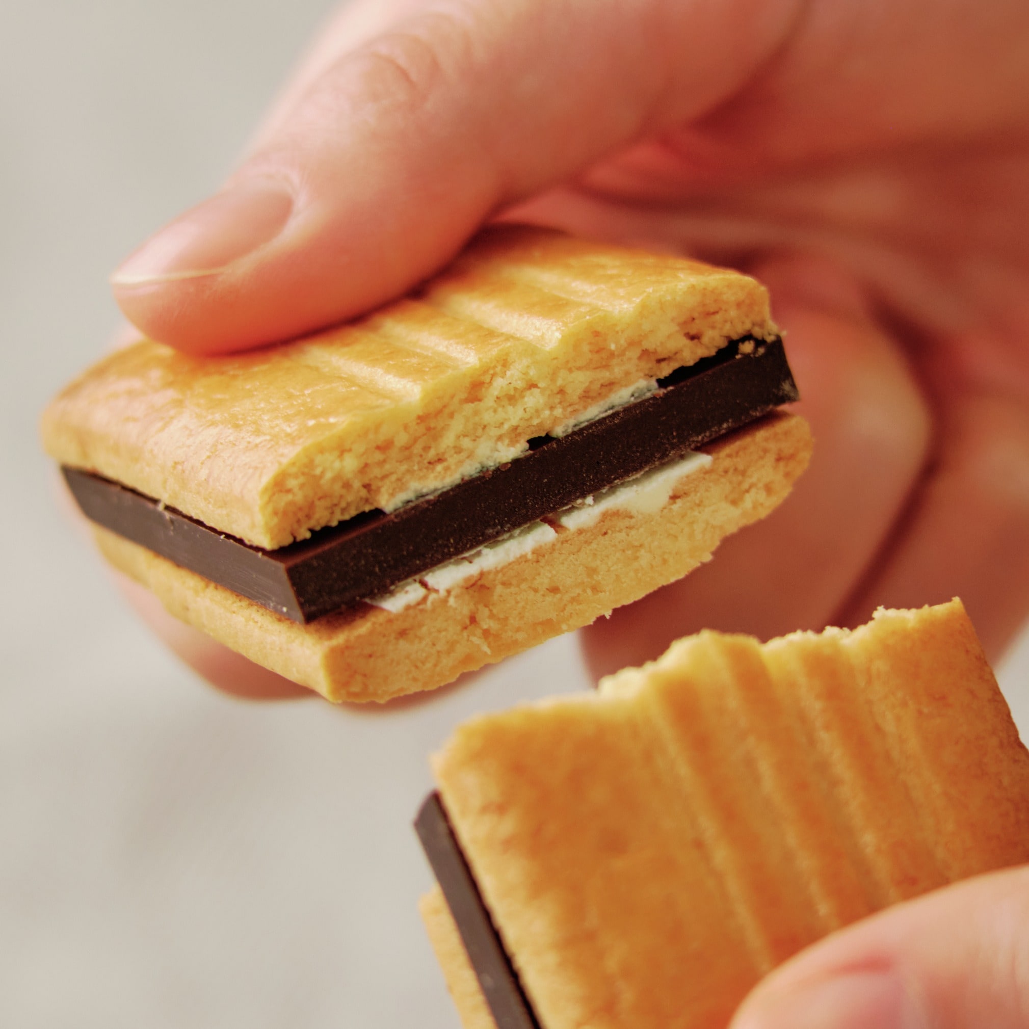 2025年11月発売 人気だった商品_6SamJz