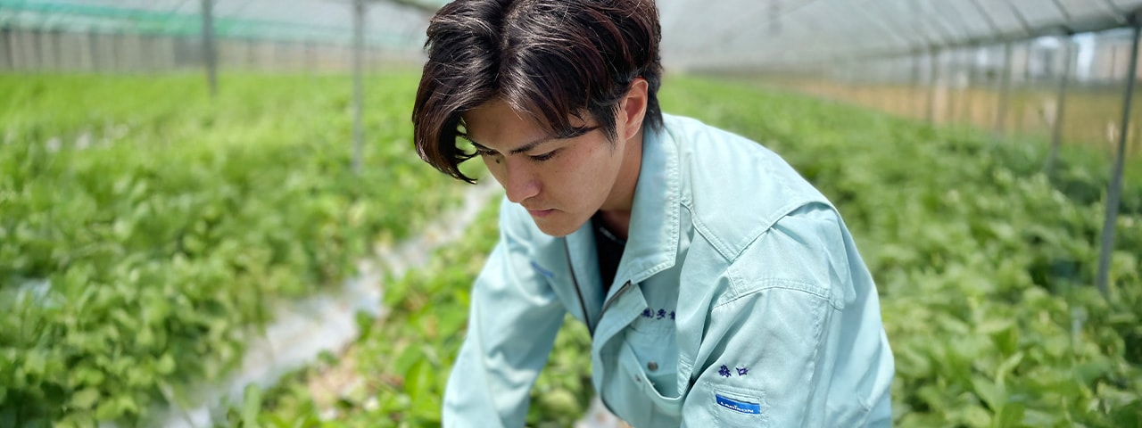 記事内画像：001 「最高の一粒」に。妥協を許さないこだわりが生む、甘いいちご【多幸寿】