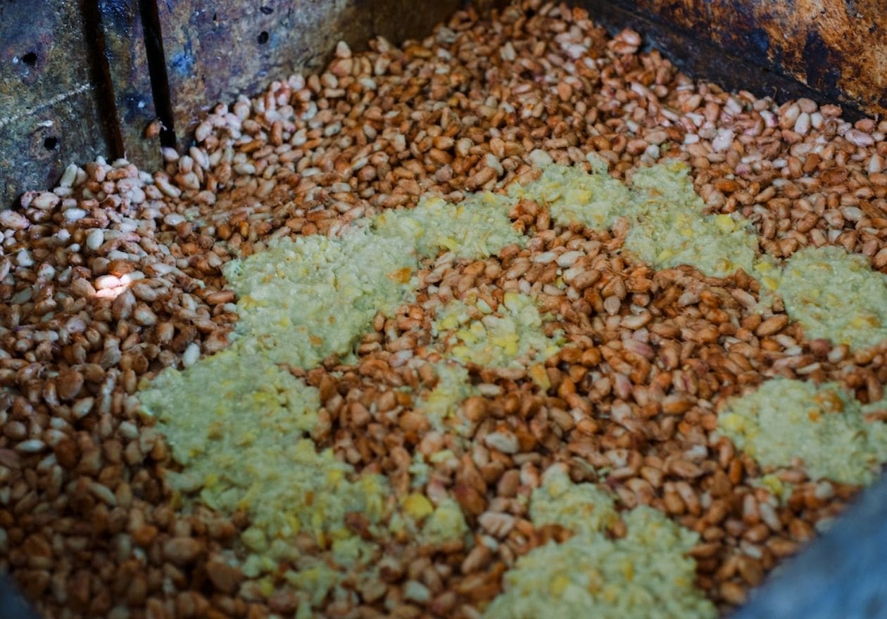 無印良品　ライム発酵チョコレート　チョコレート　サスティナビリティ