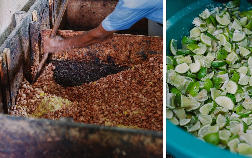 ライム発酵の工程の画像