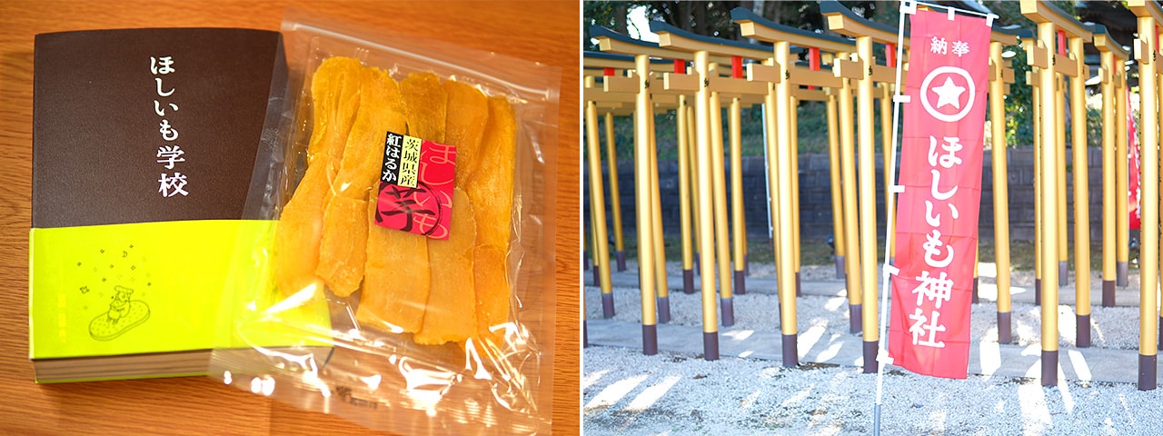 記事内画像：003 干し芋文化を守り、次につなぐ。【小池清嗣商店】の産地に根差した挑戦