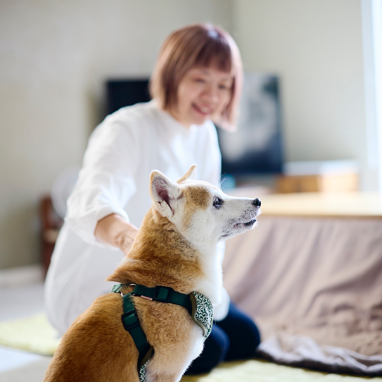 DIYを重ね、大胆につくり替えられてきた部屋 ｜ こたつにもなる ローテーブル、スチール ユニットシェルフ_ANi8na