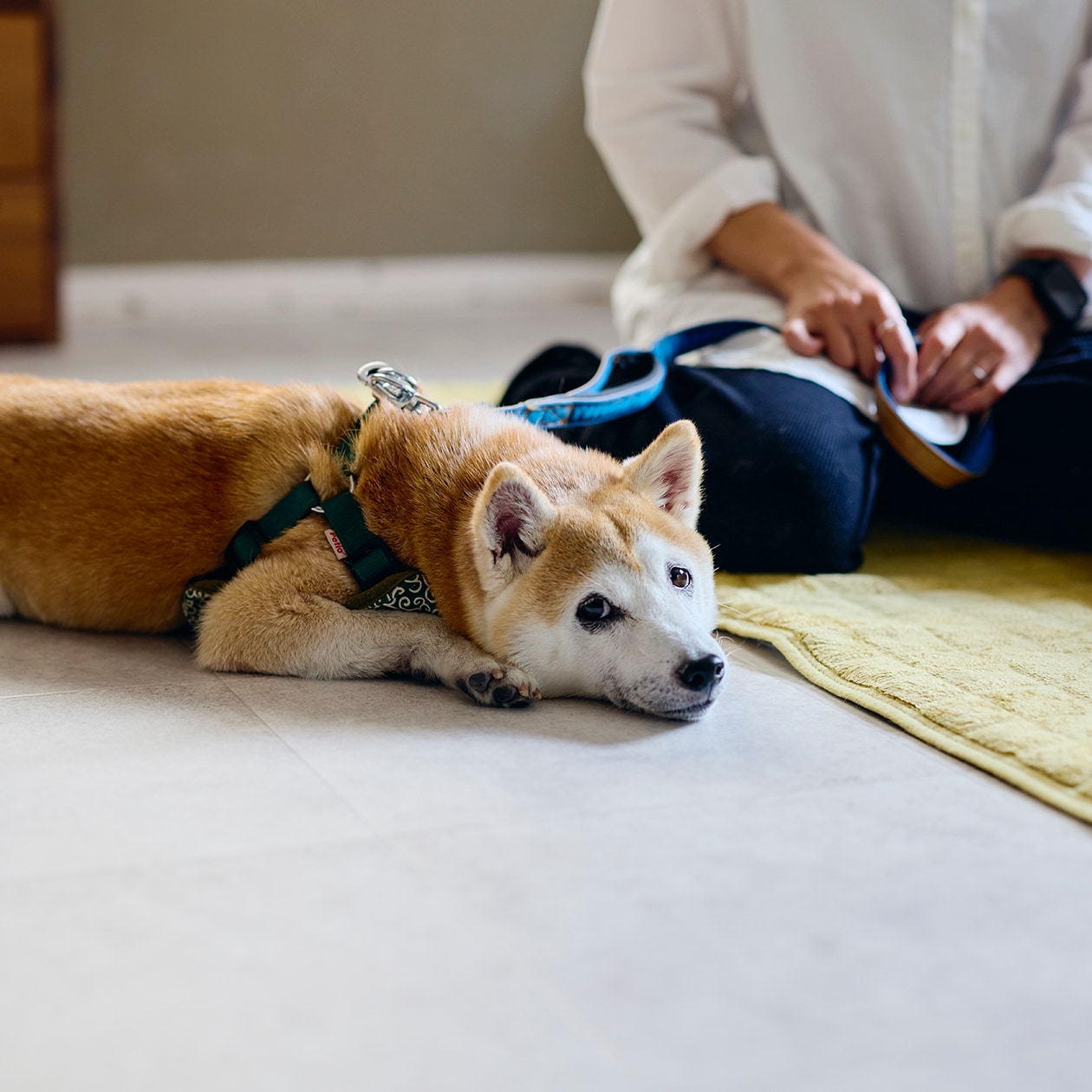 DIYを重ね、大胆につくり替えられてきた部屋 ｜ こたつにもなる ローテーブル、スチール ユニットシェルフ_mf3Dgz