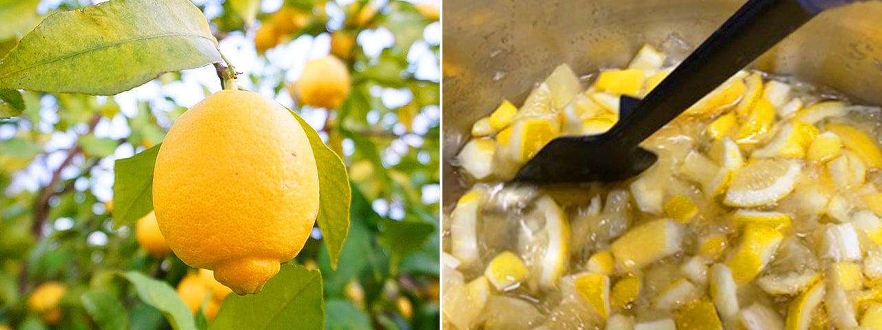 記事内画像：003 「そのまま食べても美味しい果実」を、あえて素材に選ぶ商品づくり【小林農園】