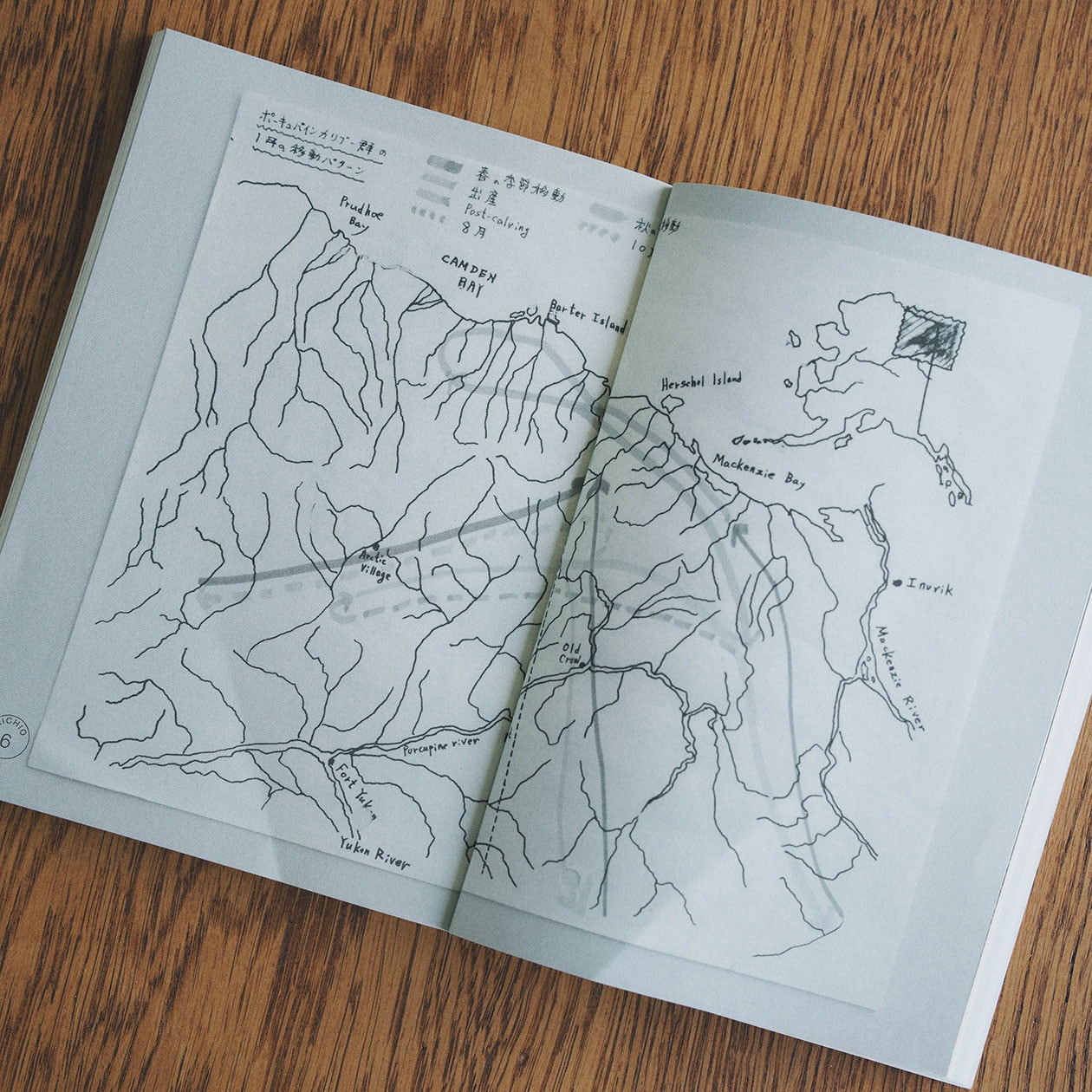 「遠くても、想像することで、いつでもその場所に行ける」皆川明が読む、星野道夫が遺したもの ｜ MUJI BOOKS 文庫本「人と物」シリーズ_lU9R6U