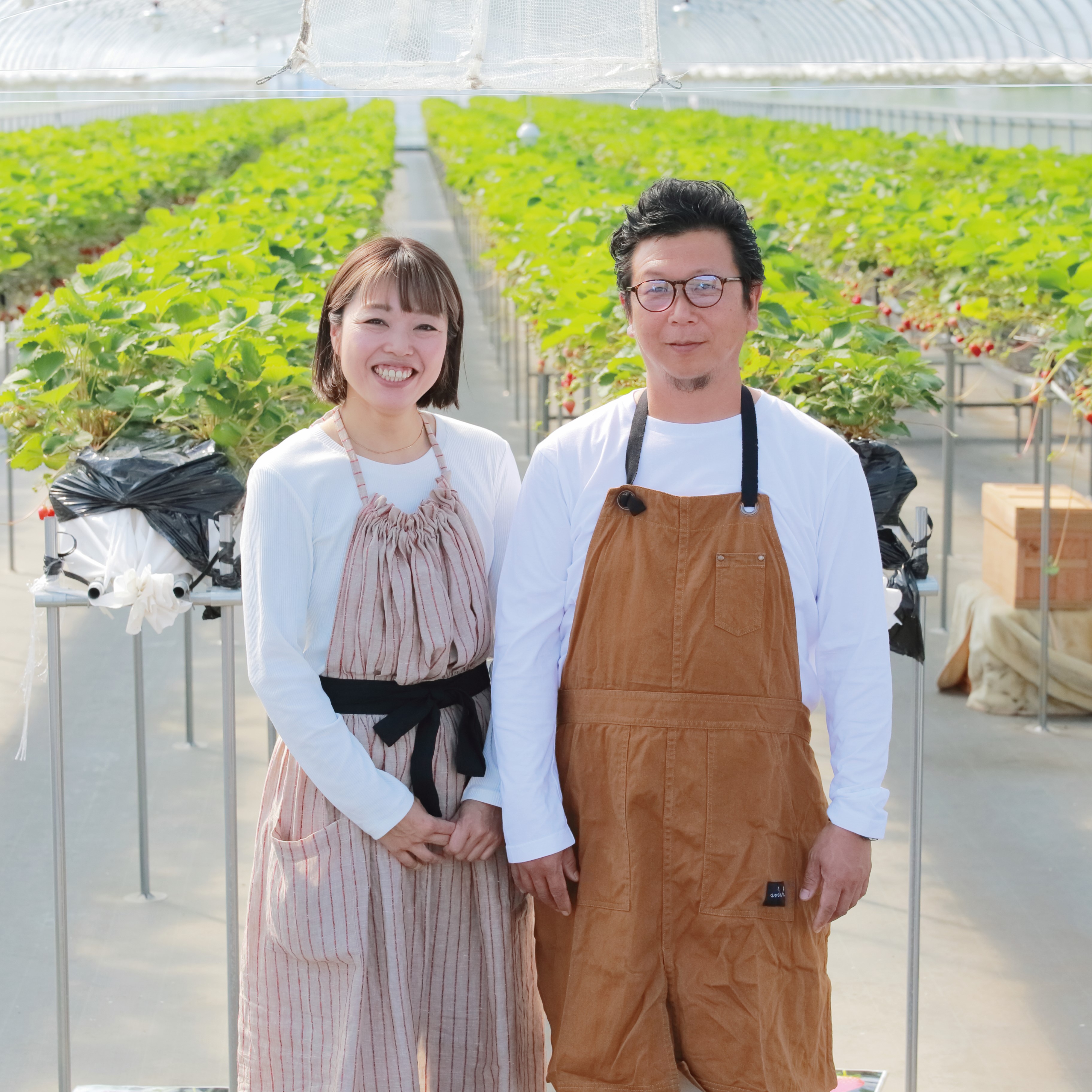 【諸国良品】滋賀県の「いちごびより」が届ける、本当においしい「いちご」 とは_yDI9O3