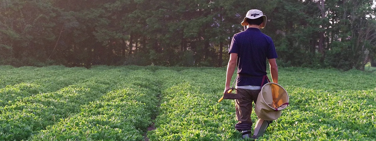 記事内画像：001 千葉の落花生を未来につなぐ、ピーナッツブランド【株式会社セガワ】