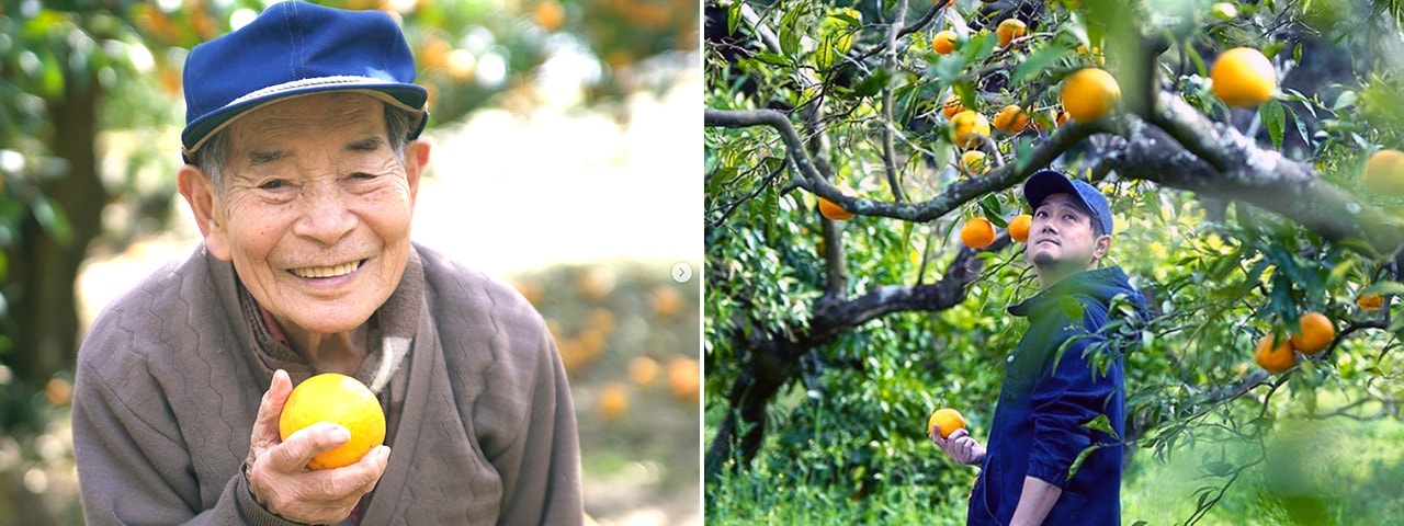 記事内画像：001 香り高き果皮に魅せられて。【淡路橙研究所】の「淡路橙（あわじだいだい）」