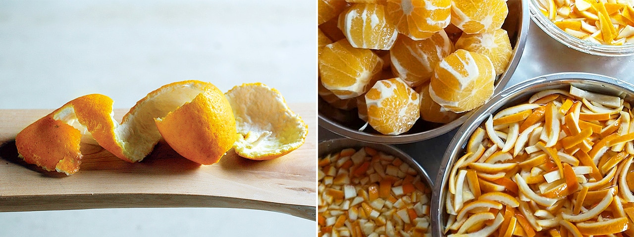 記事内画像：003 香り高き果皮に魅せられて。【淡路橙研究所】の「淡路橙（あわじだいだい）」