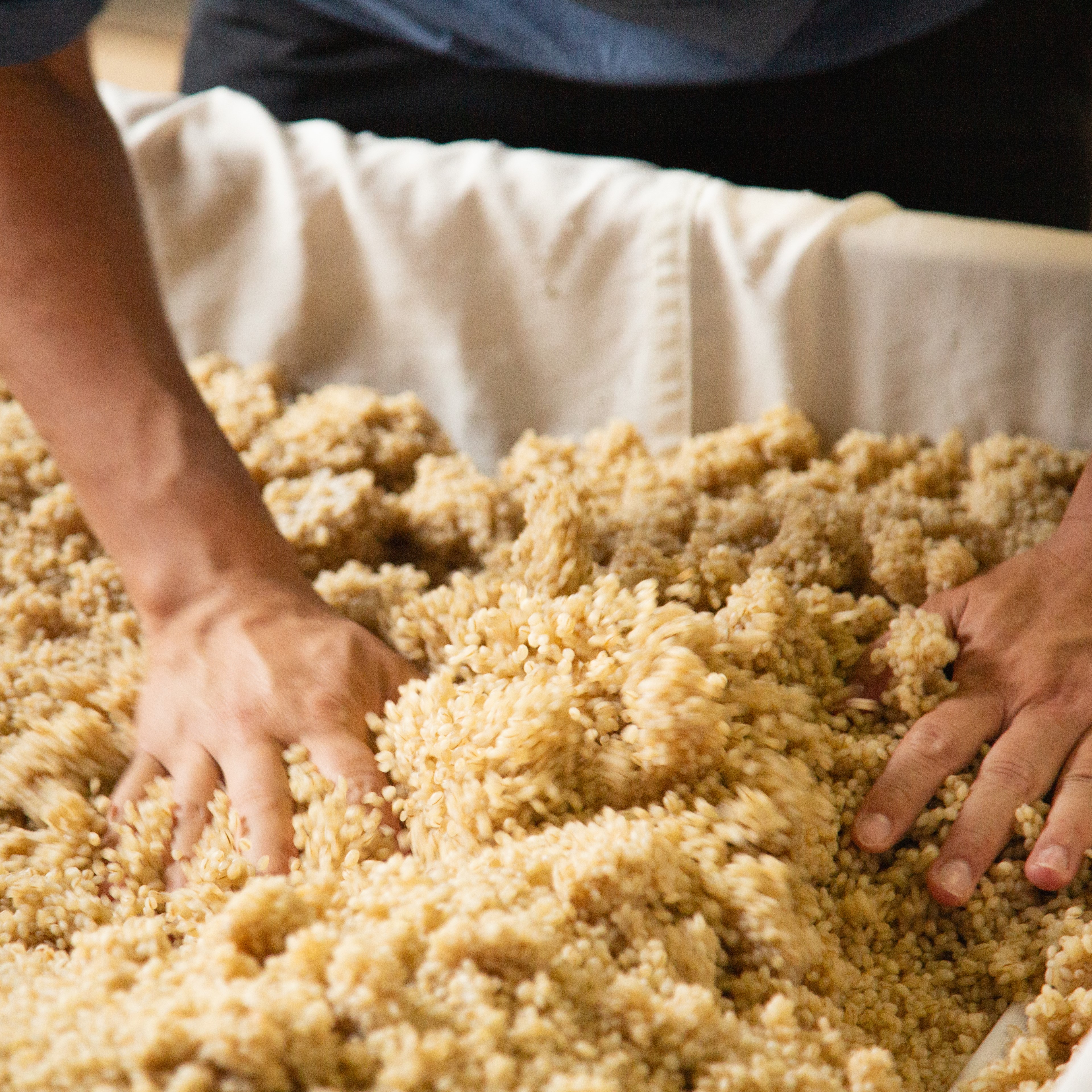 【諸国良品】「味噌づくりの楽しさを広めたい」共通する想いから『はじめての手作り甲州味噌セット』が誕生_3n7WCu