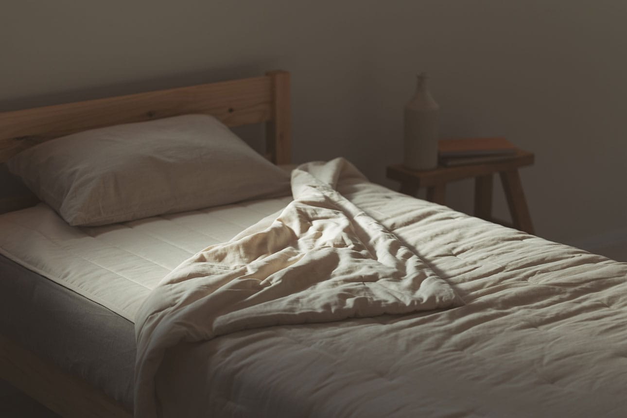 カポック｜ふわりと軽い天然繊維_ojxyh0