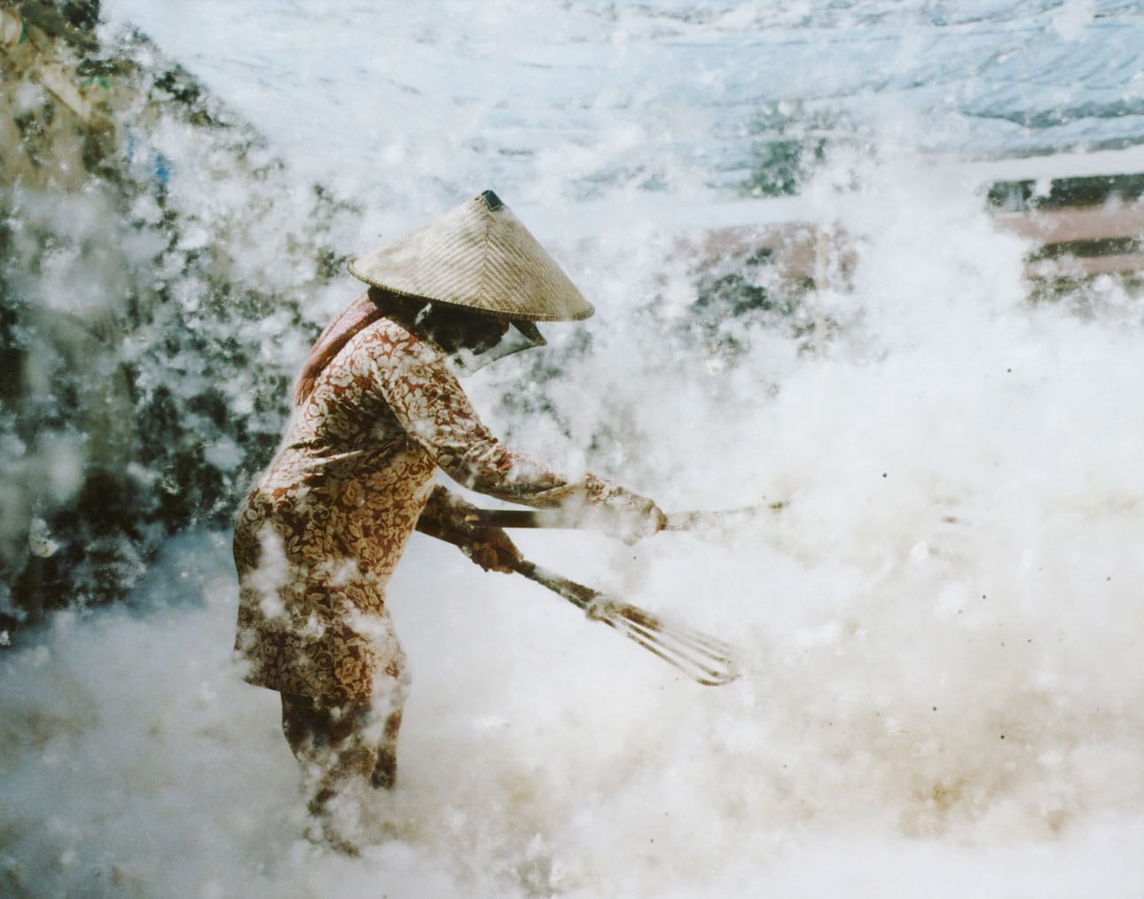 カポック｜ふわりと軽い天然繊維_EtA9L3