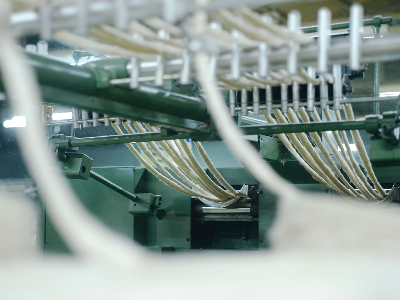 カポック｜ふわりと軽い天然繊維_rd9IJQ