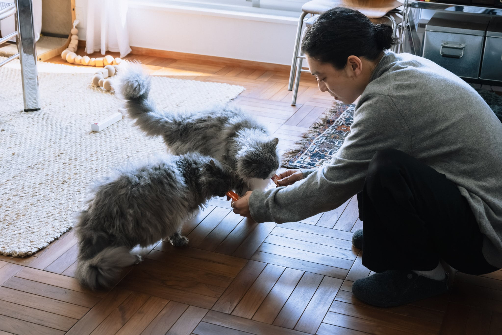 「猫と暮らす、整えすぎない家」永野さん_8lP5vo