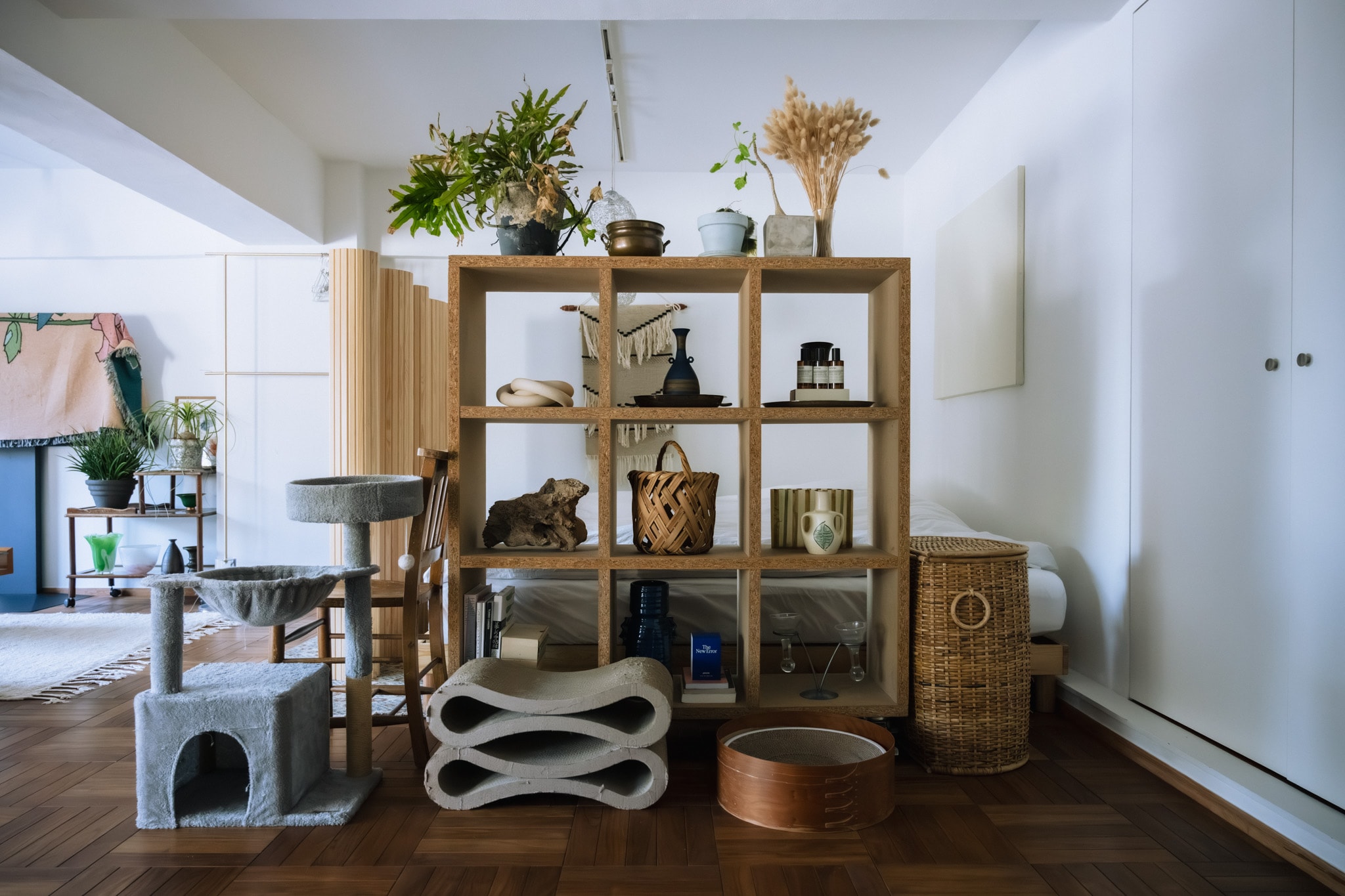 「猫と暮らす、整えすぎない家」永野さん_0InK3h