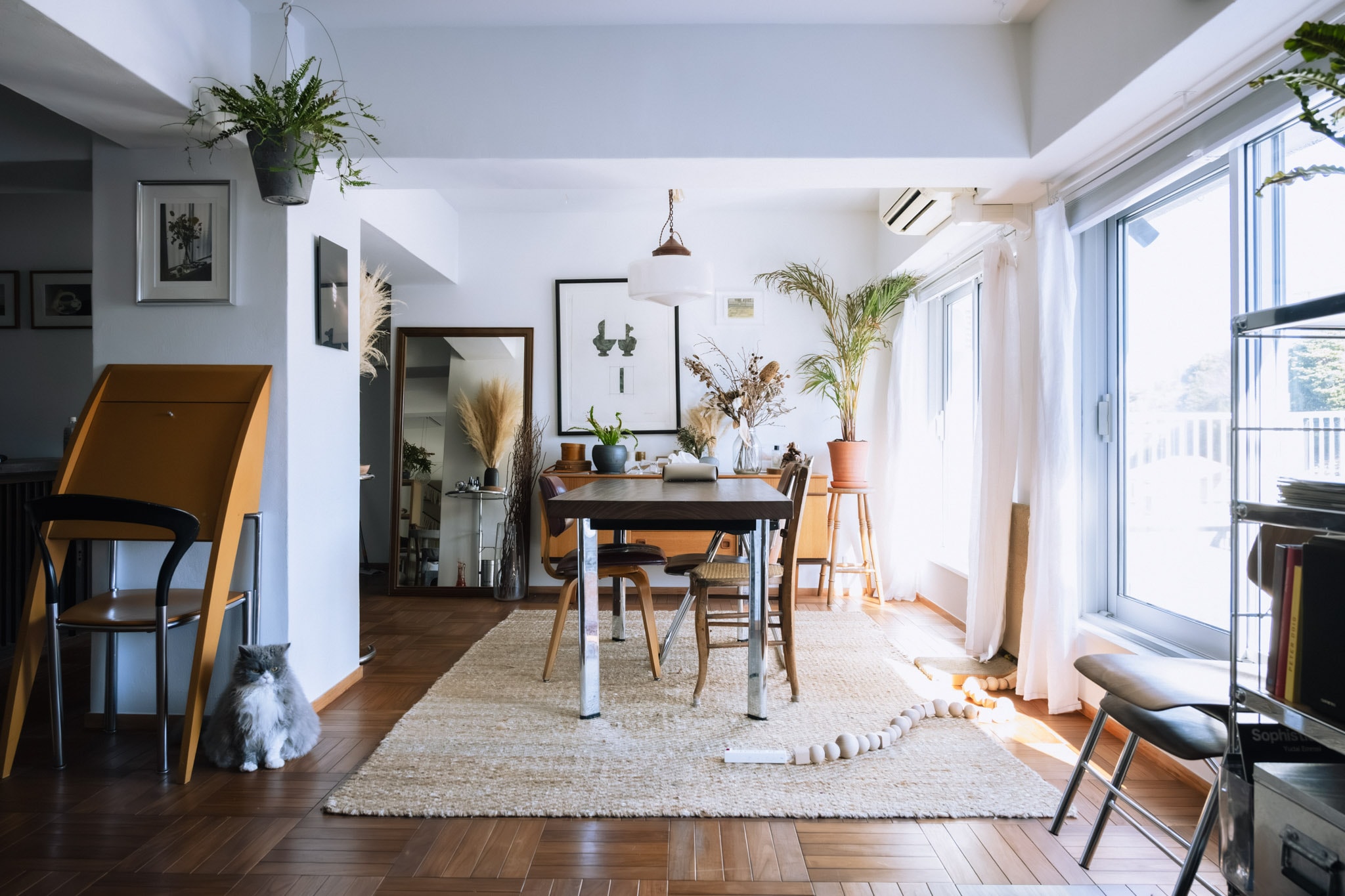 「猫と暮らす、整えすぎない家」永野さん_DA03Qq